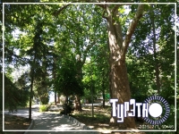 Парковая территория